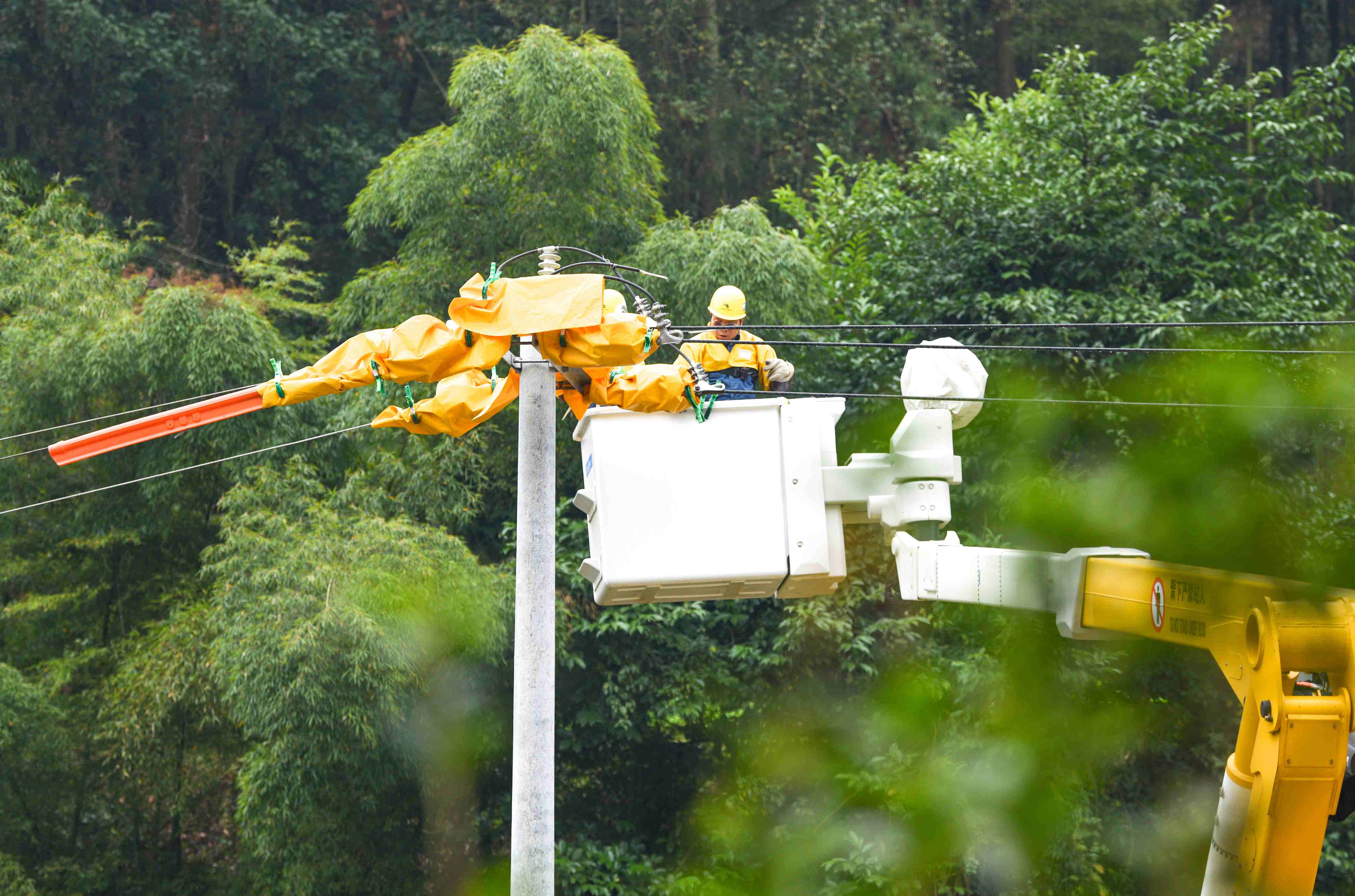 1月5日,凯里岑巩供电局带电作业人员对新安装的变压器进行搭火送电。 (3).jpg