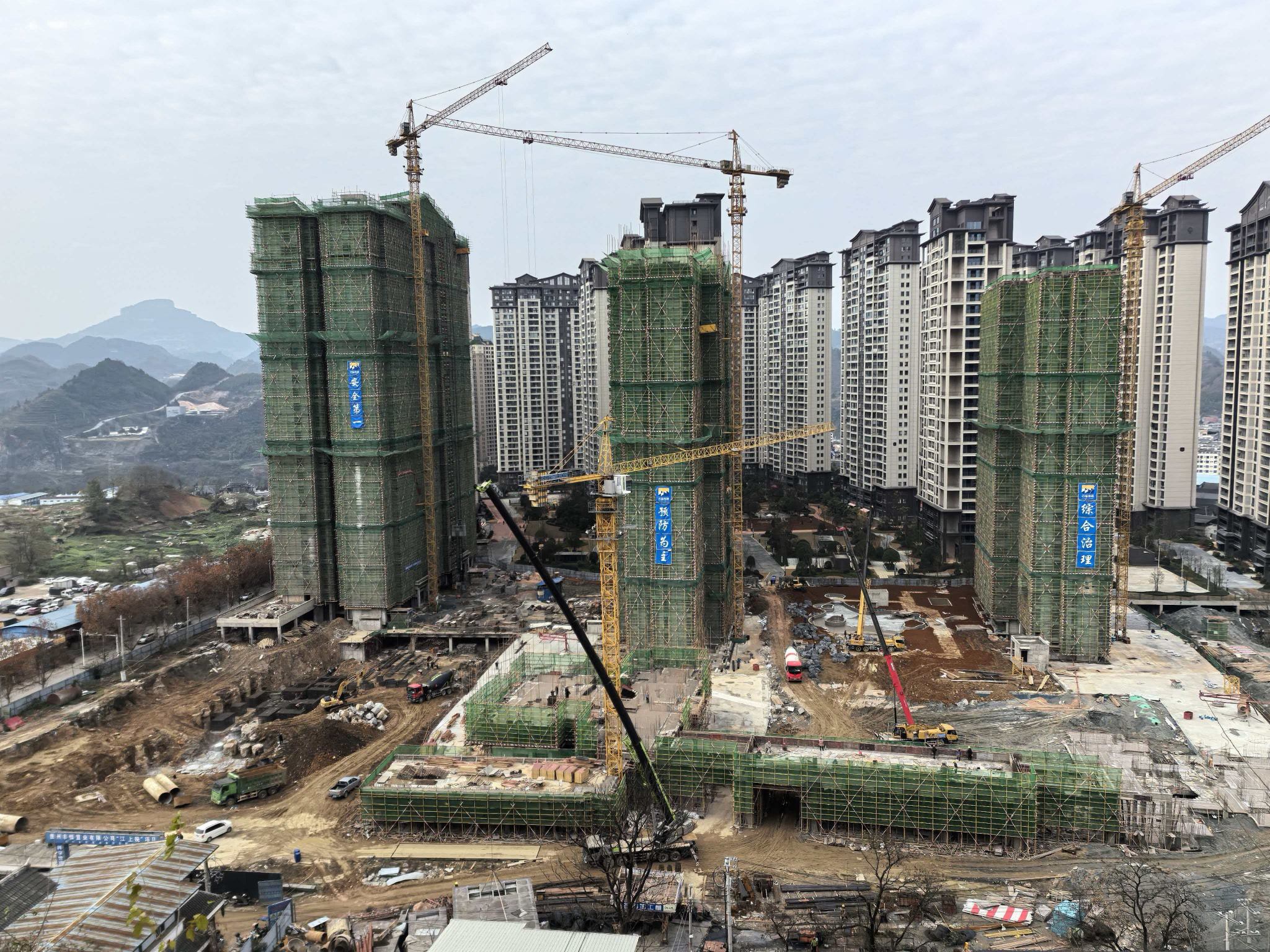 图片1(1).jpg